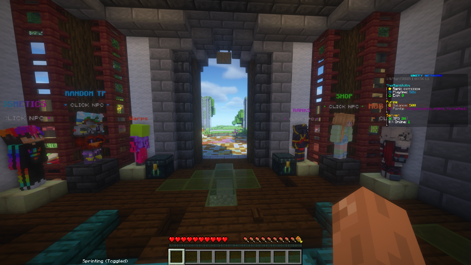 Unity Lifesteal Server gallery 2
